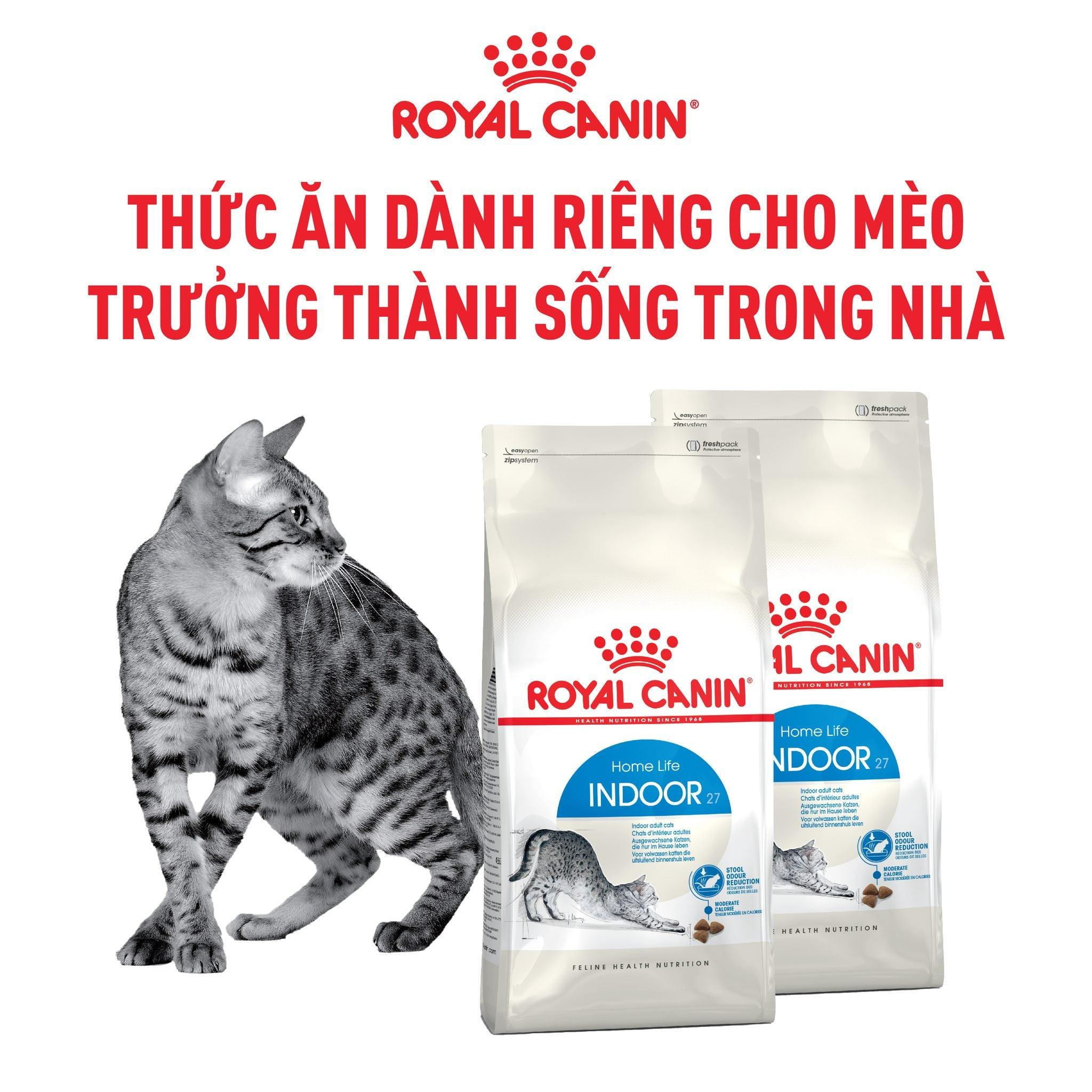 hình ảnh_2026-04-06_173614592