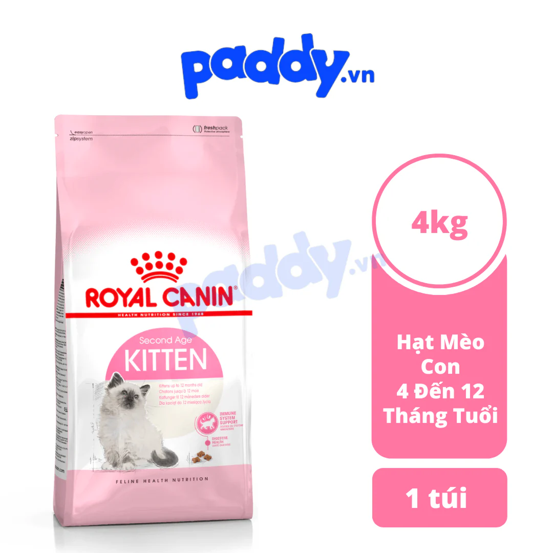 hình ảnh_2026-04-06_174849046